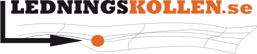 Ledningskollen